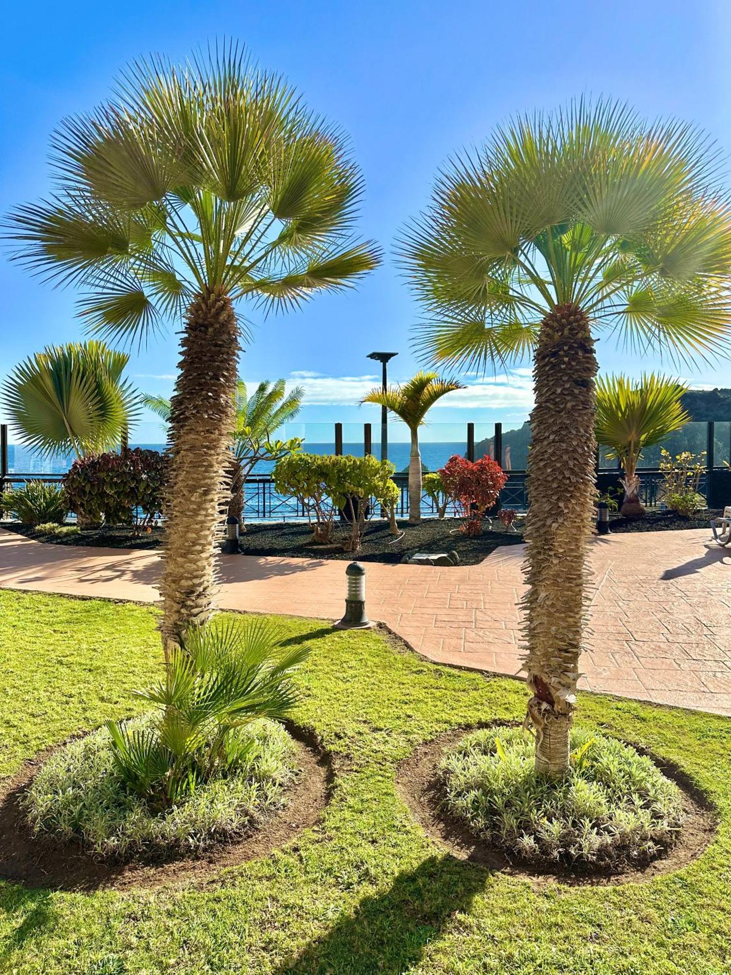 El Nautico Apartment Сан-Мігель-де-Абона Екстер'єр фото